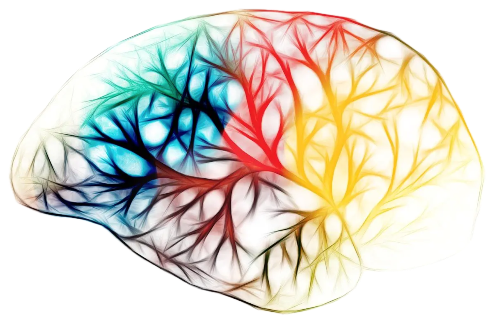 Bénédicte Barbance Cabinet Neurothérapie intégrative à Toulon